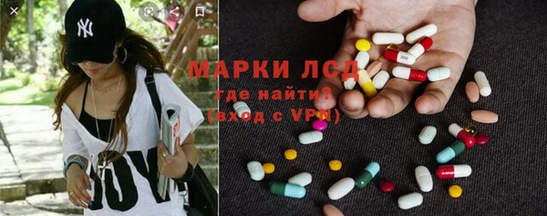прущие грибы Алзамай