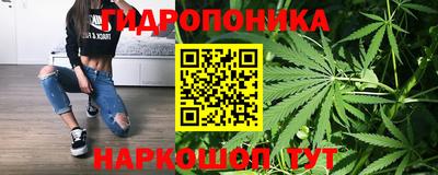 меф Дубна