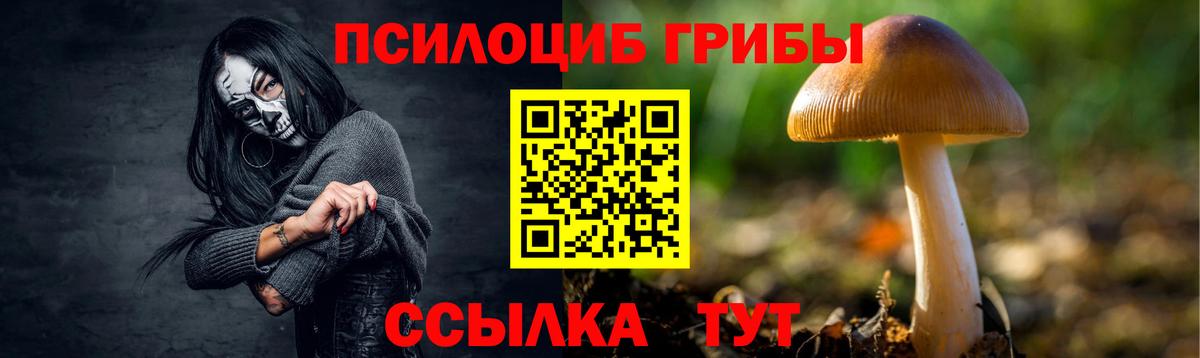сколько стоит  Псилоцибиновые грибы GOLDEN TEACHER  Вход с VPN  Михайловск 